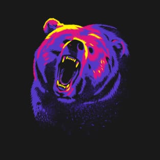 Colors bear T-Shirt