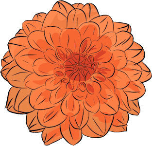 dahlia Magnet