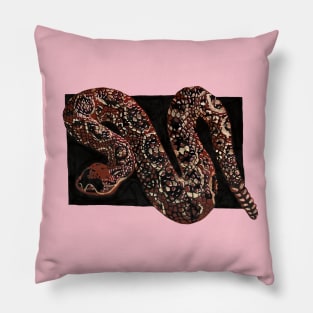 Rattlesnake Pillow