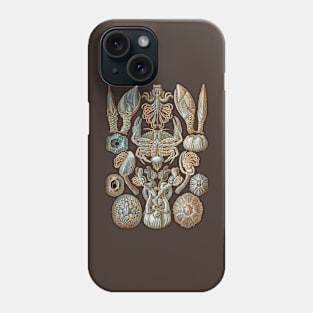 Ernst Haeckel Cirripedia Crab  Blue Phone Case