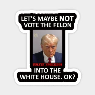 Let’s Maybe NOT Vote the Felon Into The White House.  OK? Magnet