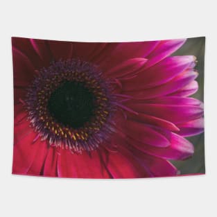 Vintage Pink Daisy Tapestry