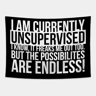 Sarcasm I Am Currently Unsupervised Tapestry