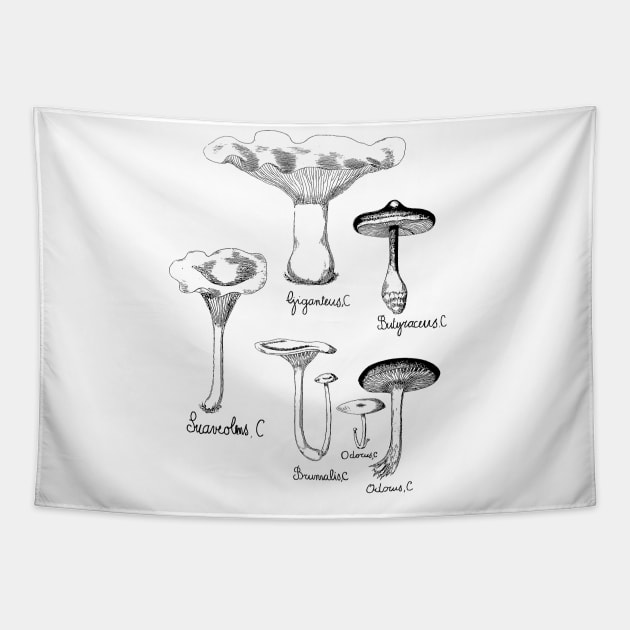 Wild Mushroom | For Fungi Foraging Fungiphiles Tapestry by encycloart