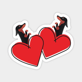 Dachshund Dog (Doxie) in Love Heart Magnet