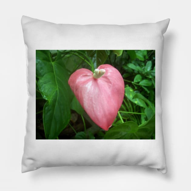 Love Nature Pillow by BSCustoms
