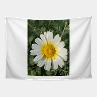 White and Yellow Tapestry