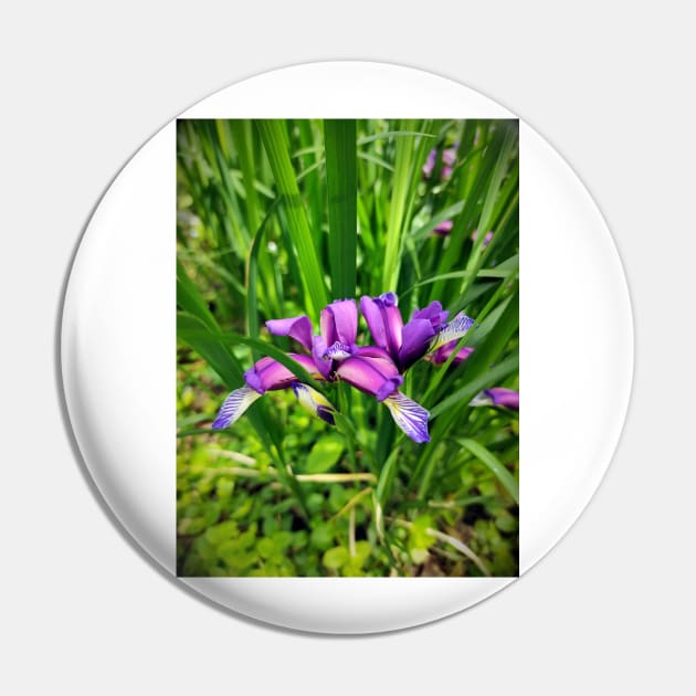 Beautiful lily Pin by Gourmetkater