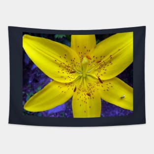 Yellow Flower Tiger Lily on Blue Background Day Lily Flowers Tapestry