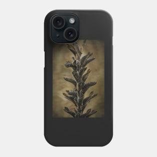 Horicon Marsh - Seed Pods Unfurled Phone Case