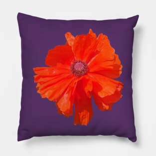 Poppy Pillow