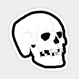 Skull Magnet