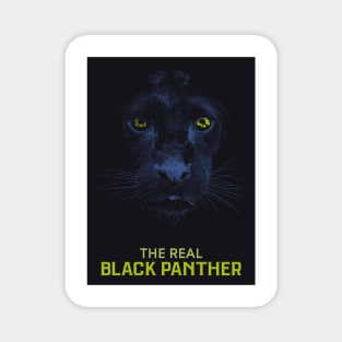 The Real Black Panther Graphic Art Magnet