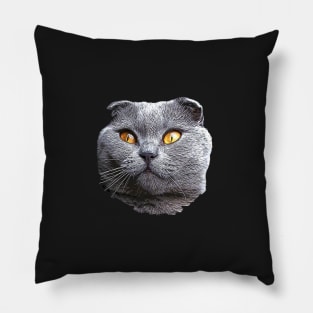 Scottish Fold Blue Beauty Pillow