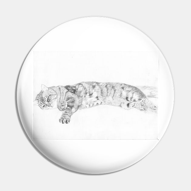 Tabby Cat relaxing Pin by DavidASmith