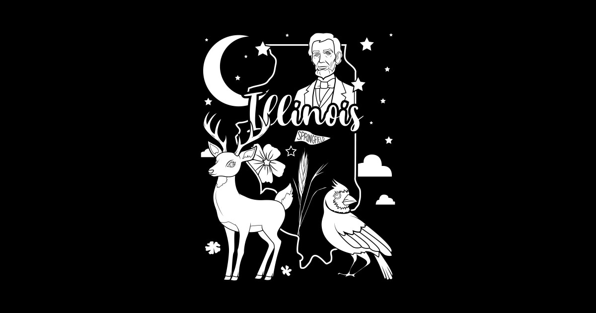 Illinois visual data 6