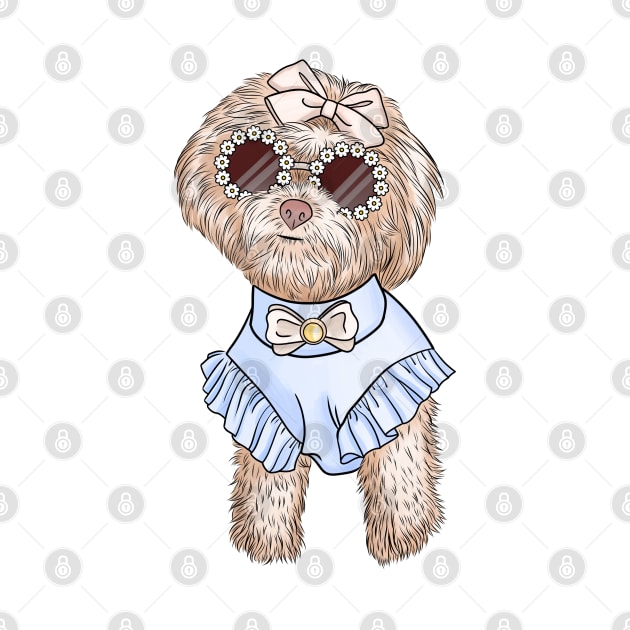 Cute bichon by Kuchinska design