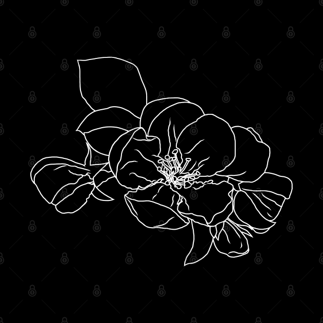 Apple blossom. line drawing. White and black. by KateQR