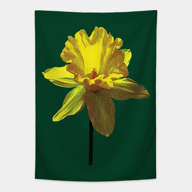 Daffodils - Daffodil Looking Up Tapestry by SusanSavad