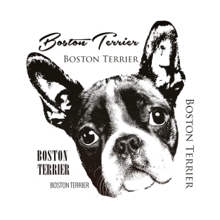 Boston Terrier dog T-Shirt