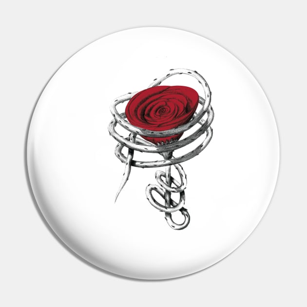protected rose Pin by bamieh84