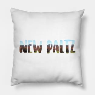 new paltz Pillow