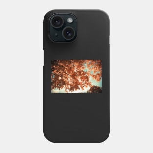 Autumn Forest Phone Case