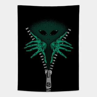 Alien inside Tapestry