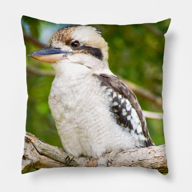 Laughing Kookaburra Pillow by Upbeat Traveler