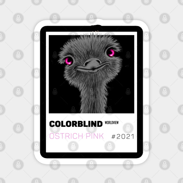 OSTRICH PINK - white card  by COLORBLIND WorldView Magnet by DREAM SIGNED Collection
