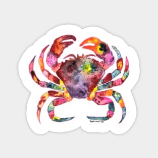 Crab Magnet