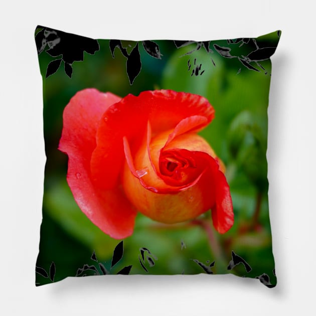 Curled Rose Pillow by Nicole Gath Photography