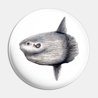 Ocean sunfish (Mola mola) Pin