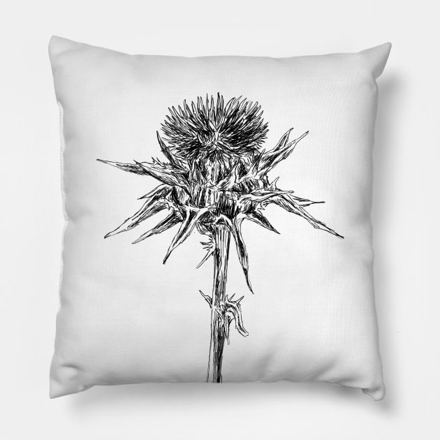 Milk thistle Pillow by rachelsfinelines