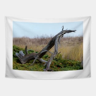 Coastal Driftwood Tapestry