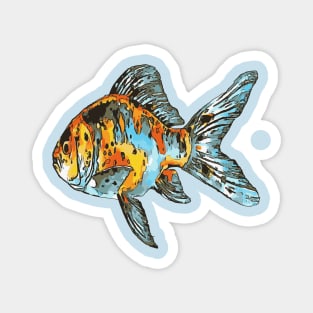 Blue and Orange Shubunkin Goldfish Isolated Magnet