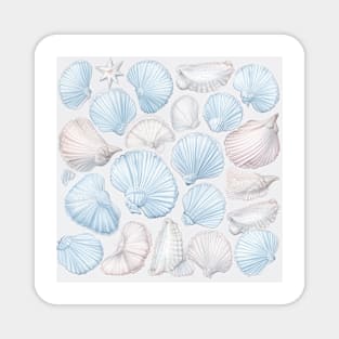 Sandy seashells III Magnet