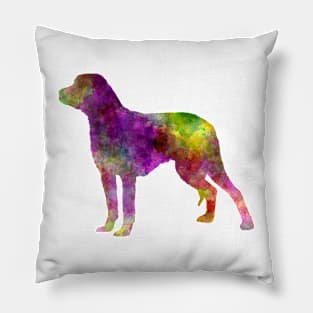 Schillerstovare in watercolor Pillow