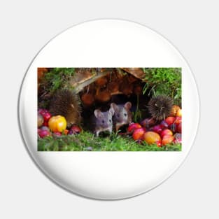 two little mice in a log pile house Pin