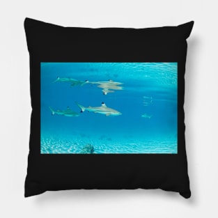 Double Shark Tahiti Pillow