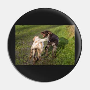 You Shall Not Pass Spinone Pin