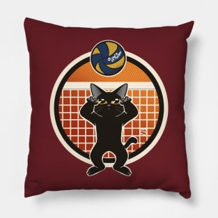 Volleyball Pillow