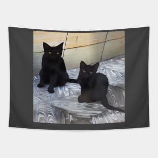 TWO CAT BROTHERS Tapestry