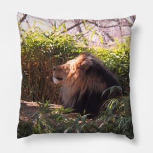 Lion in the Sun Pillow