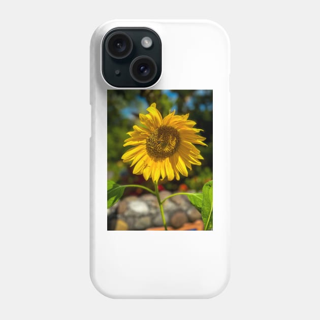 Sunflower Phone Case by cbernstein