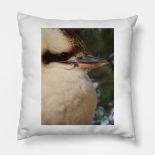 Kookaburra Pillow