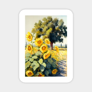 Watercolor Field of Sunflowers on a Sunny Day Magnet