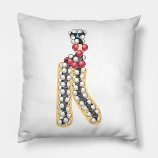 Phospholipid Biology Cell membrane Pillow