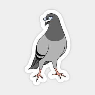 Rock Dove with Glasses Magnet