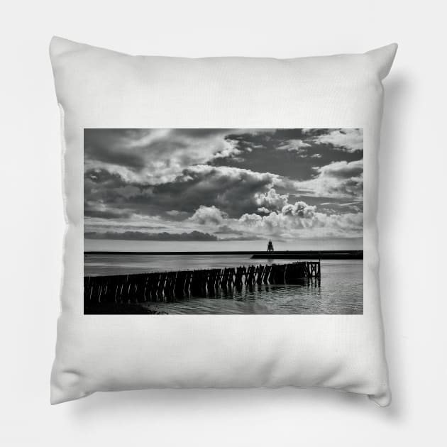 River Tyne in black and white Pillow by Violaman